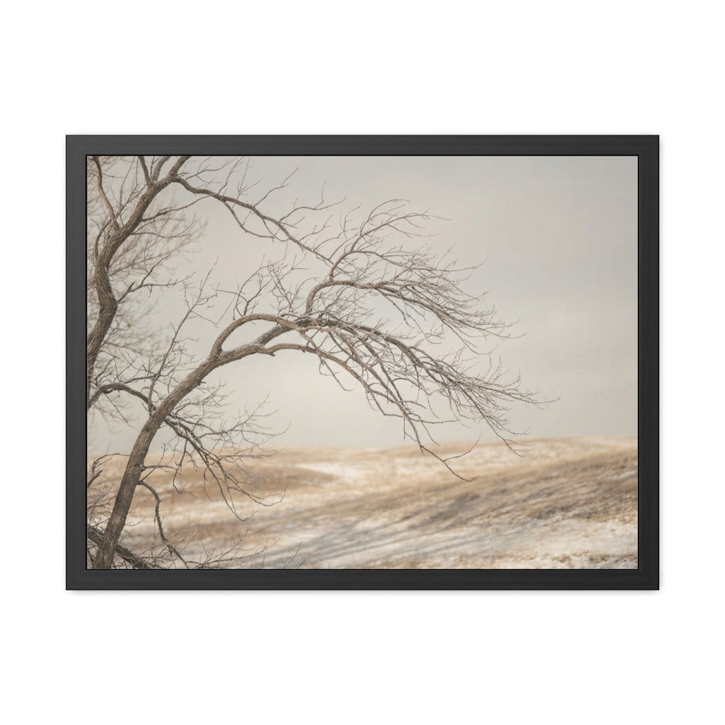 Framed Poster - Minimalist Winter Tree — Landscape