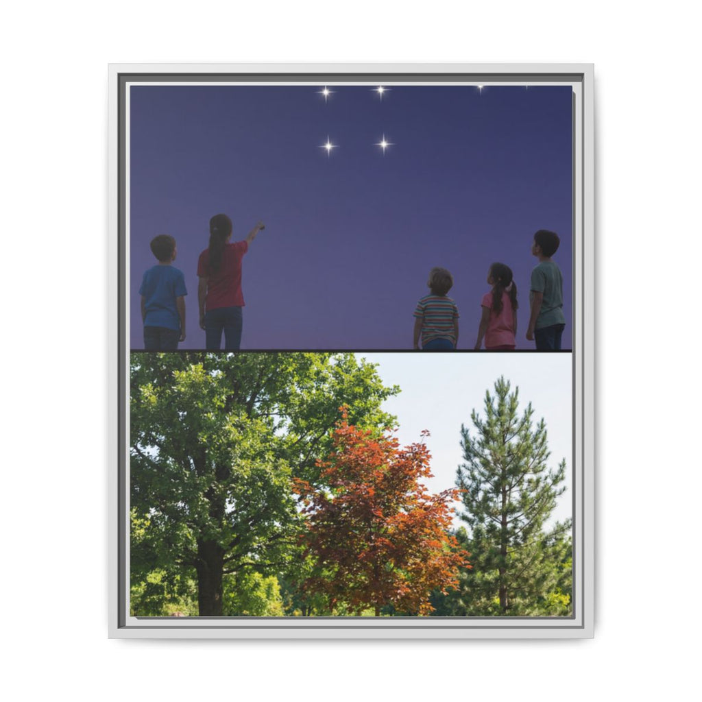 Framed Matte Canvas - Discovery — White / 1.25"