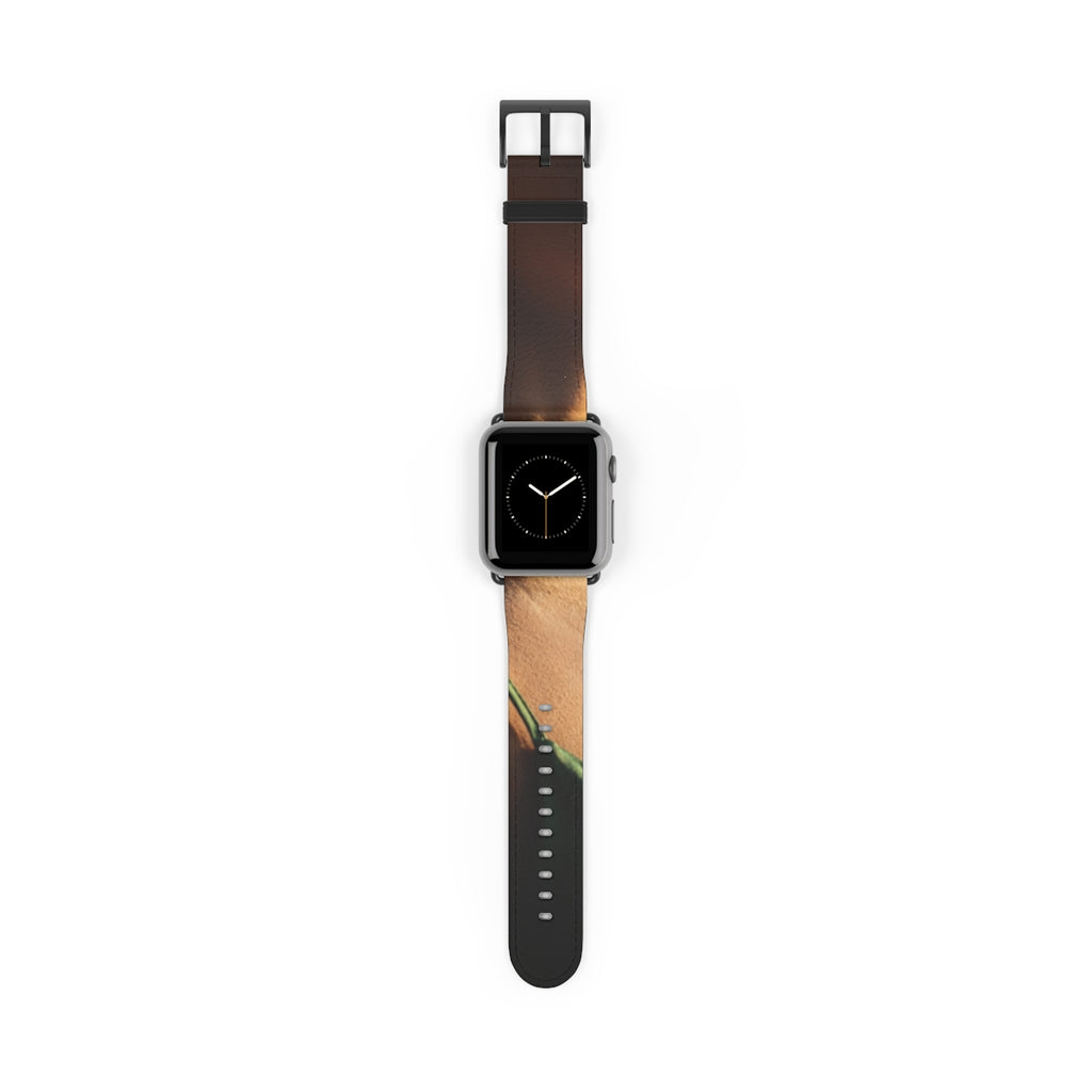 Apple Watch Band - Cinematic Wristwear