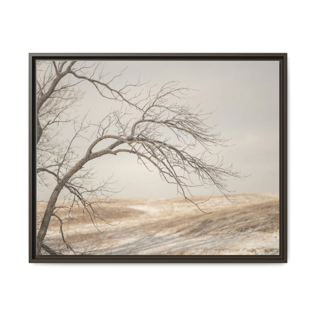 Framed Canvas Art - Minimalist Winter — Espresso / 1.25"
