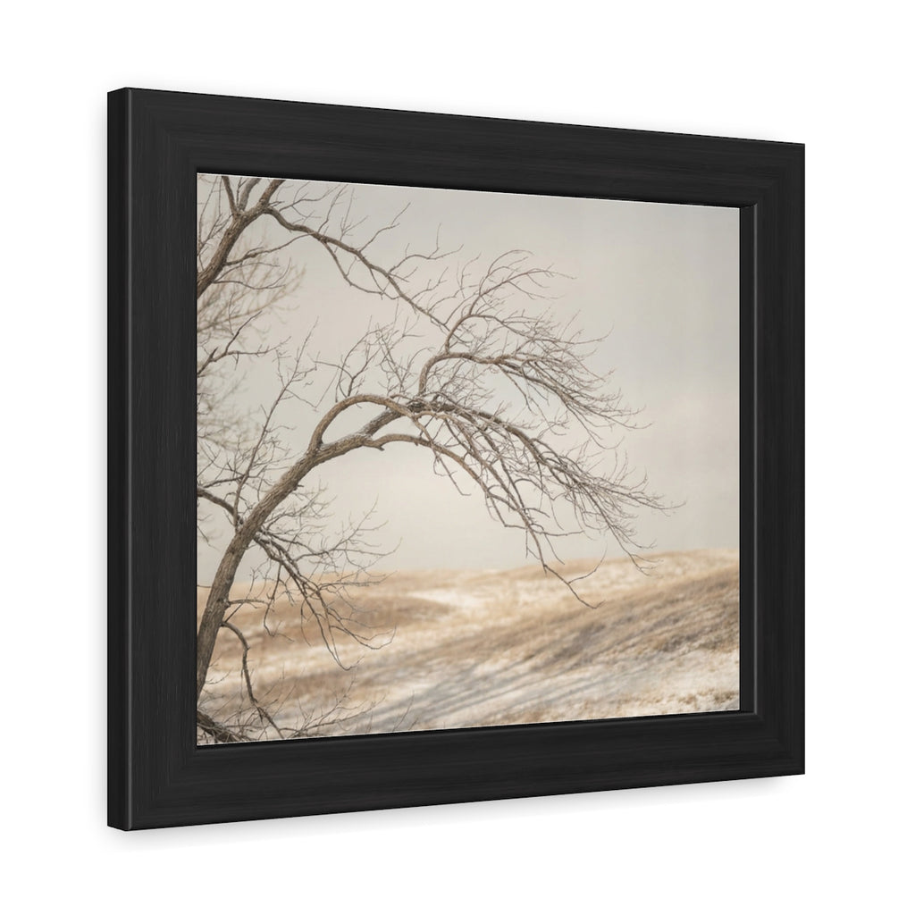 Framed Poster - Minimalist Winter Tree — Landscape
