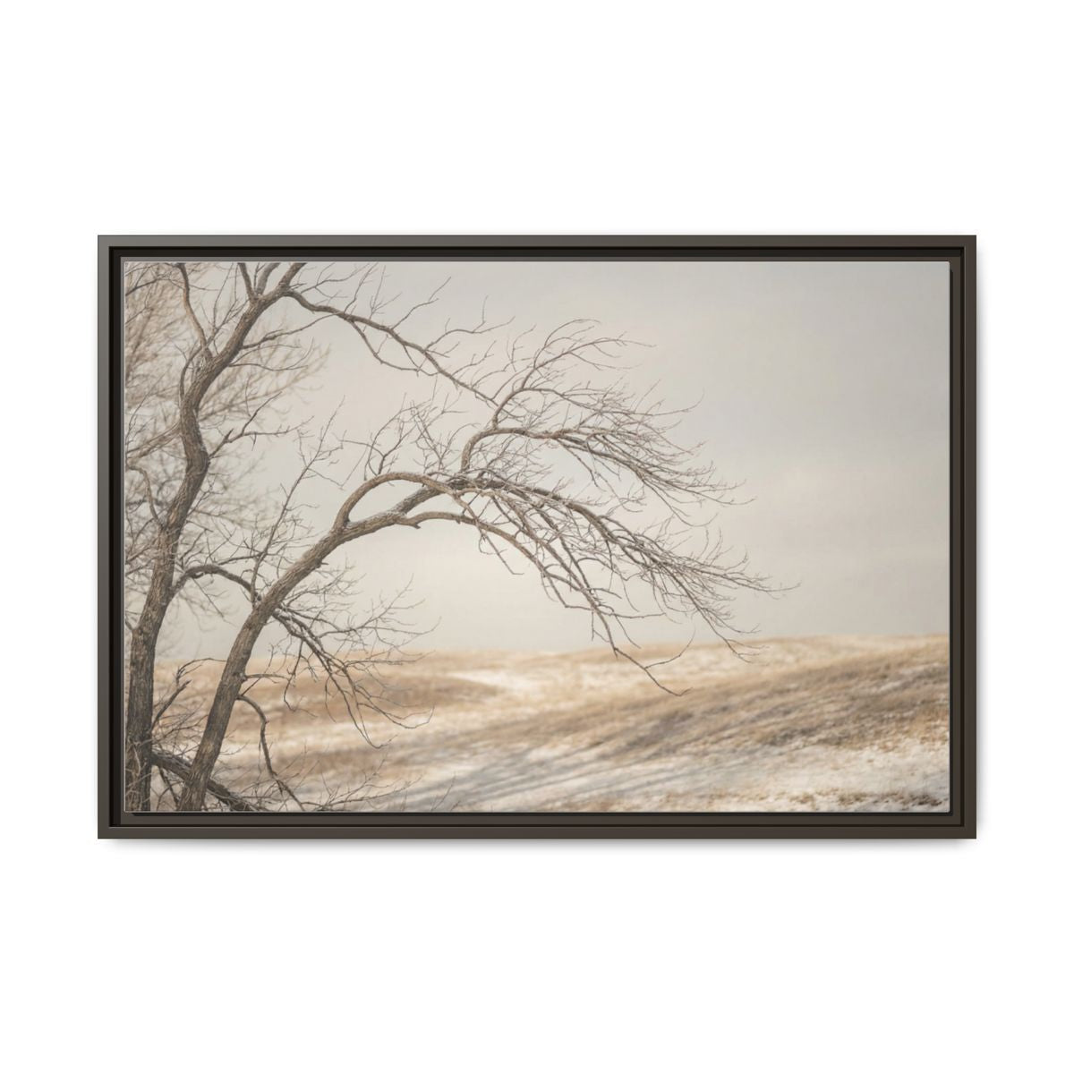 Framed Canvas Art - Minimalist Winter — Espresso / 1.25"
