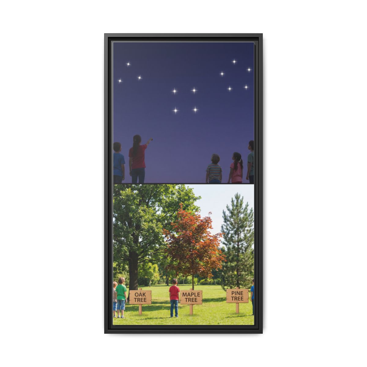 Framed Matte Canvas - Discovery — Black / 1.25"