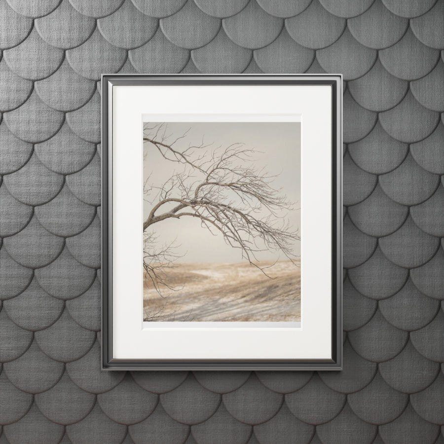 Fine Art Prints, Portrait - Solitary Winter Calm