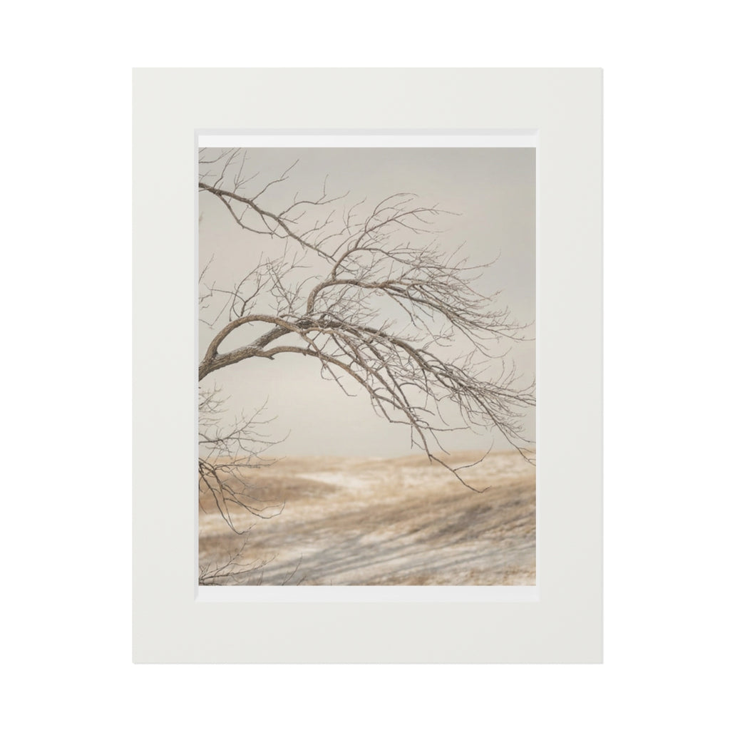 Framed Fine Art Print - Hushed Winter — Portrait