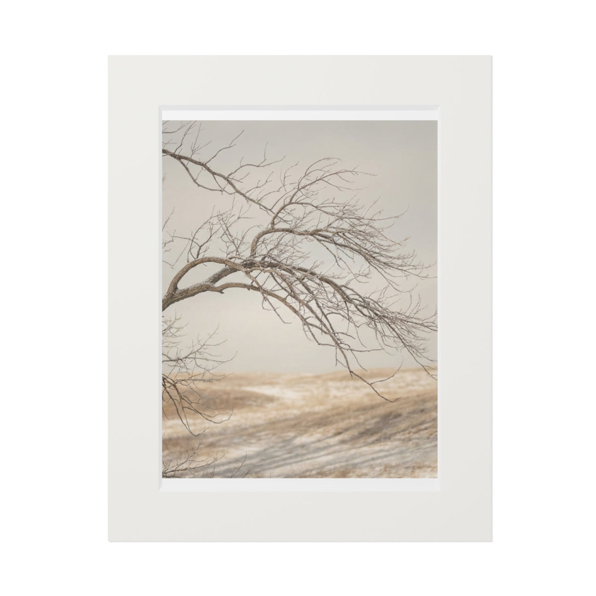 Framed Fine Art Print - Hushed Winter — Portrait