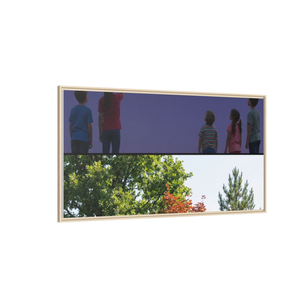 Framed Matte Canvas - Wilderness Gallery