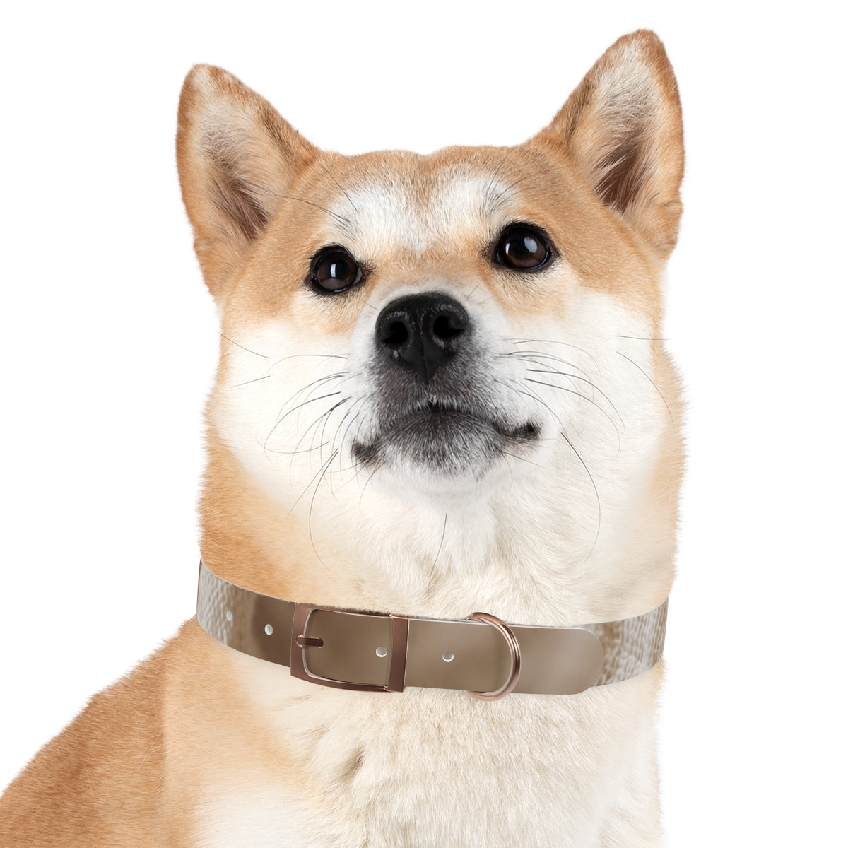 Dog Collar - Earth Toned Pet Style