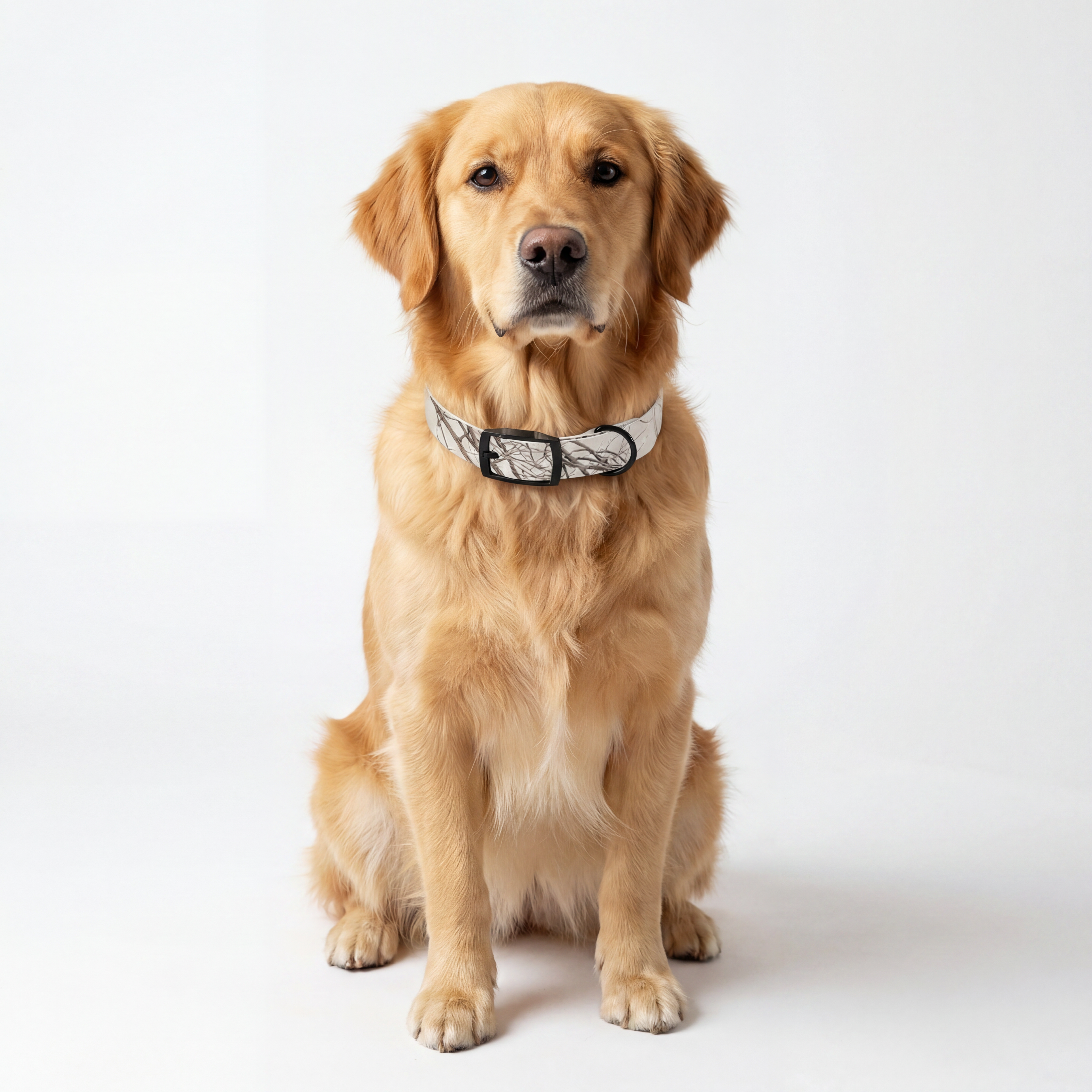 Dog Collar - Hushed Winter Landscape