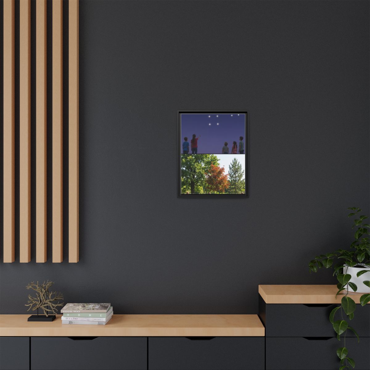 Framed Matte Canvas - Discovery — Black / 1.25"