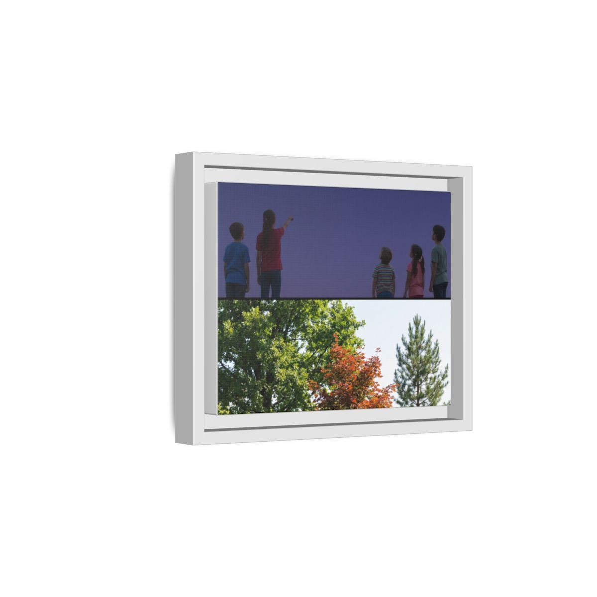 Framed Matte Canvas - Discovery — White / 1.25"