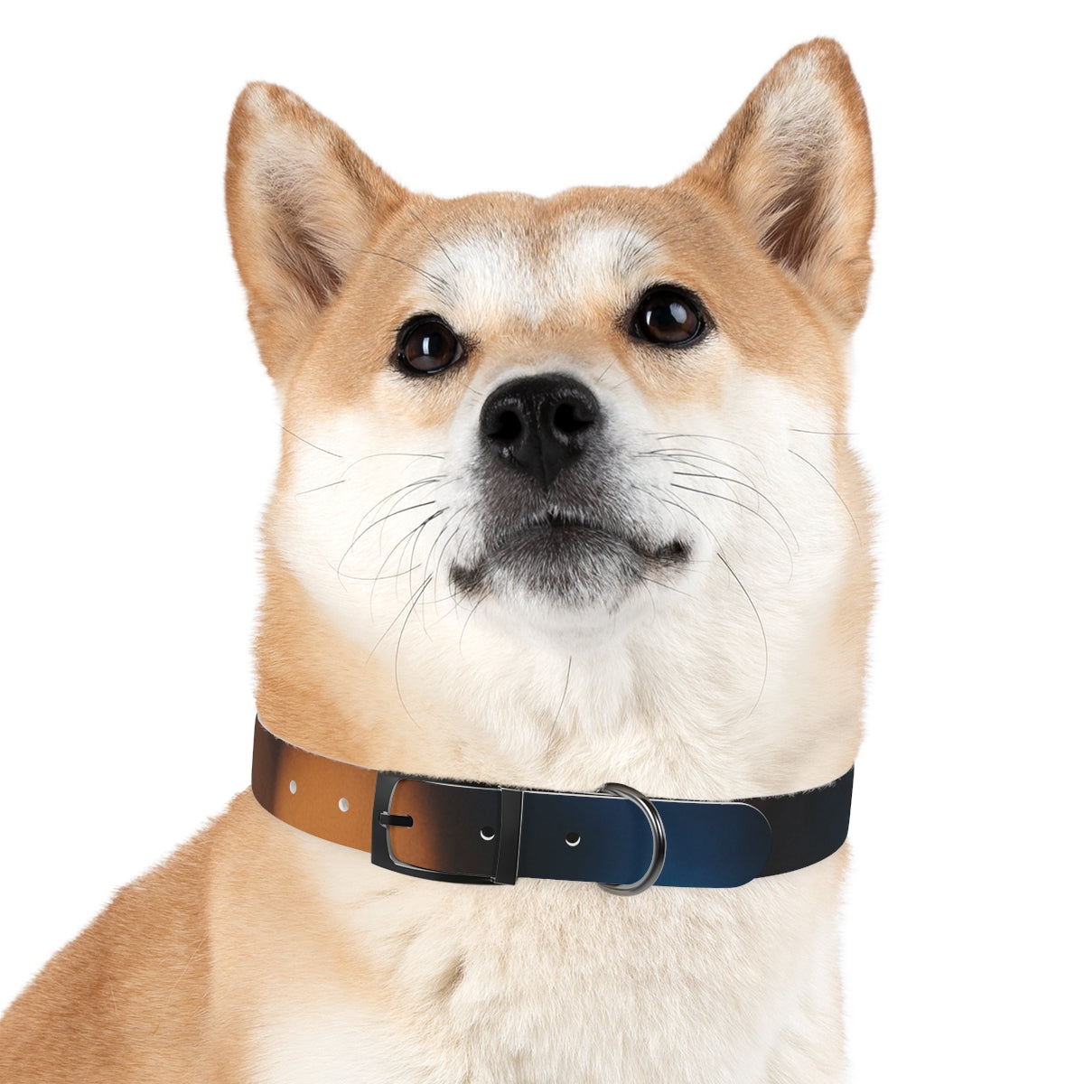 Dog Collar - Midnight Spark