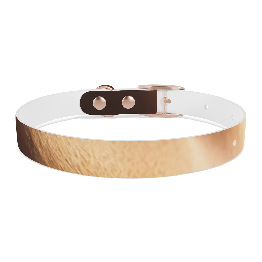 Dog Collar - Golden Hour Glow