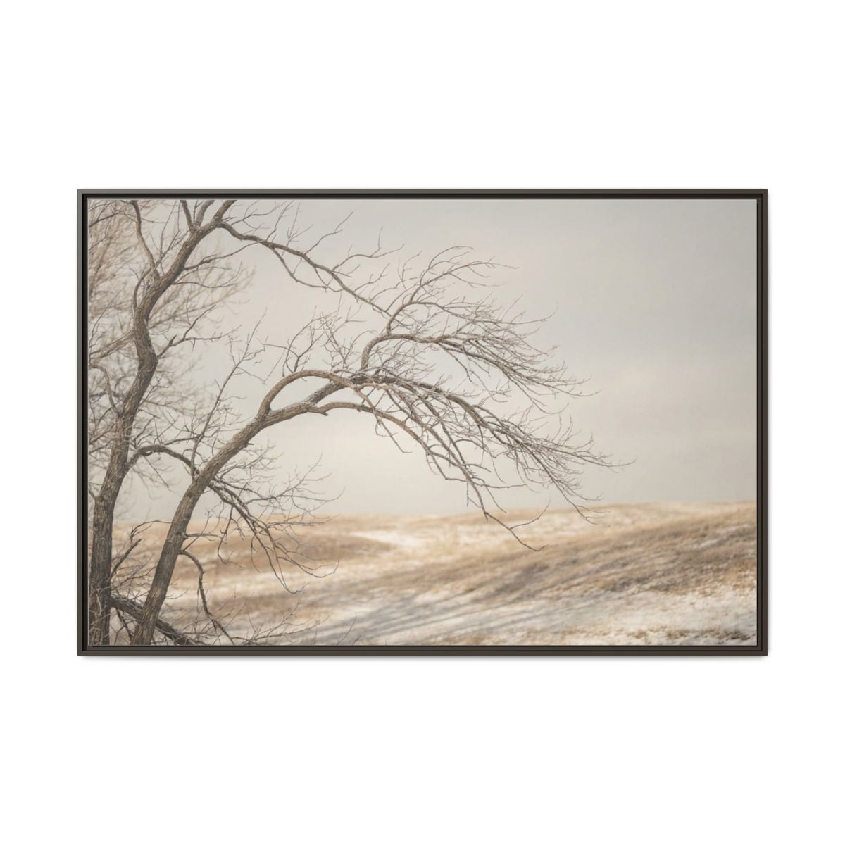 Framed Canvas Art - Minimalist Winter — Espresso / 1.25"