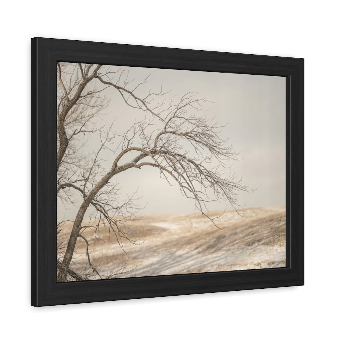 Framed Poster - Minimalist Winter Tree — Landscape