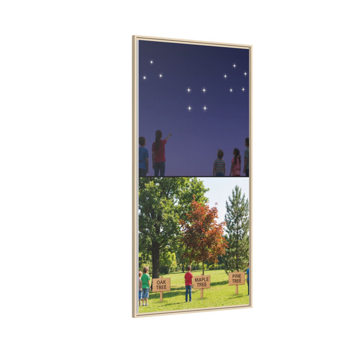 Framed Matte Canvas - Discovery — Natural / 1.25"