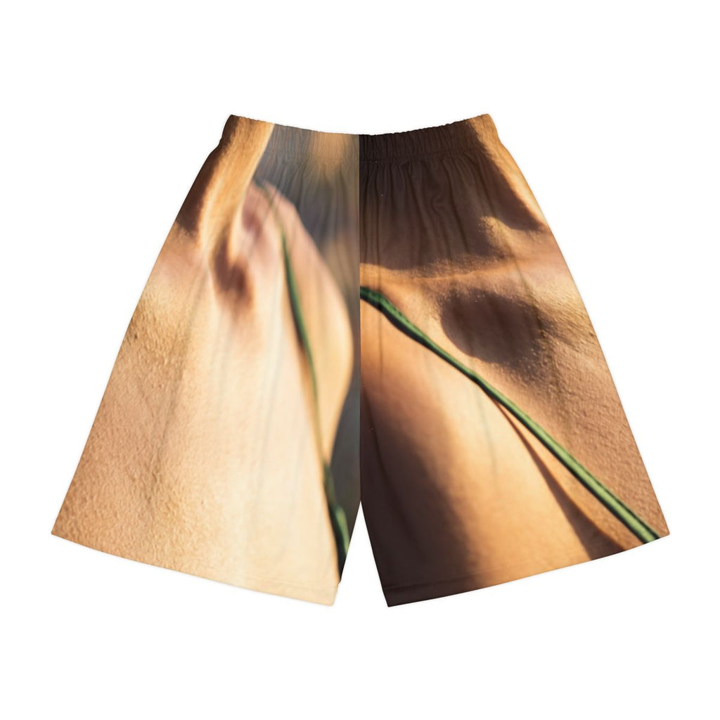 Men's Sports Shorts - Emerald Golden Hour