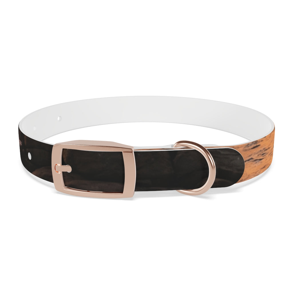 Dog Collar - Majestic Ocean Sunset