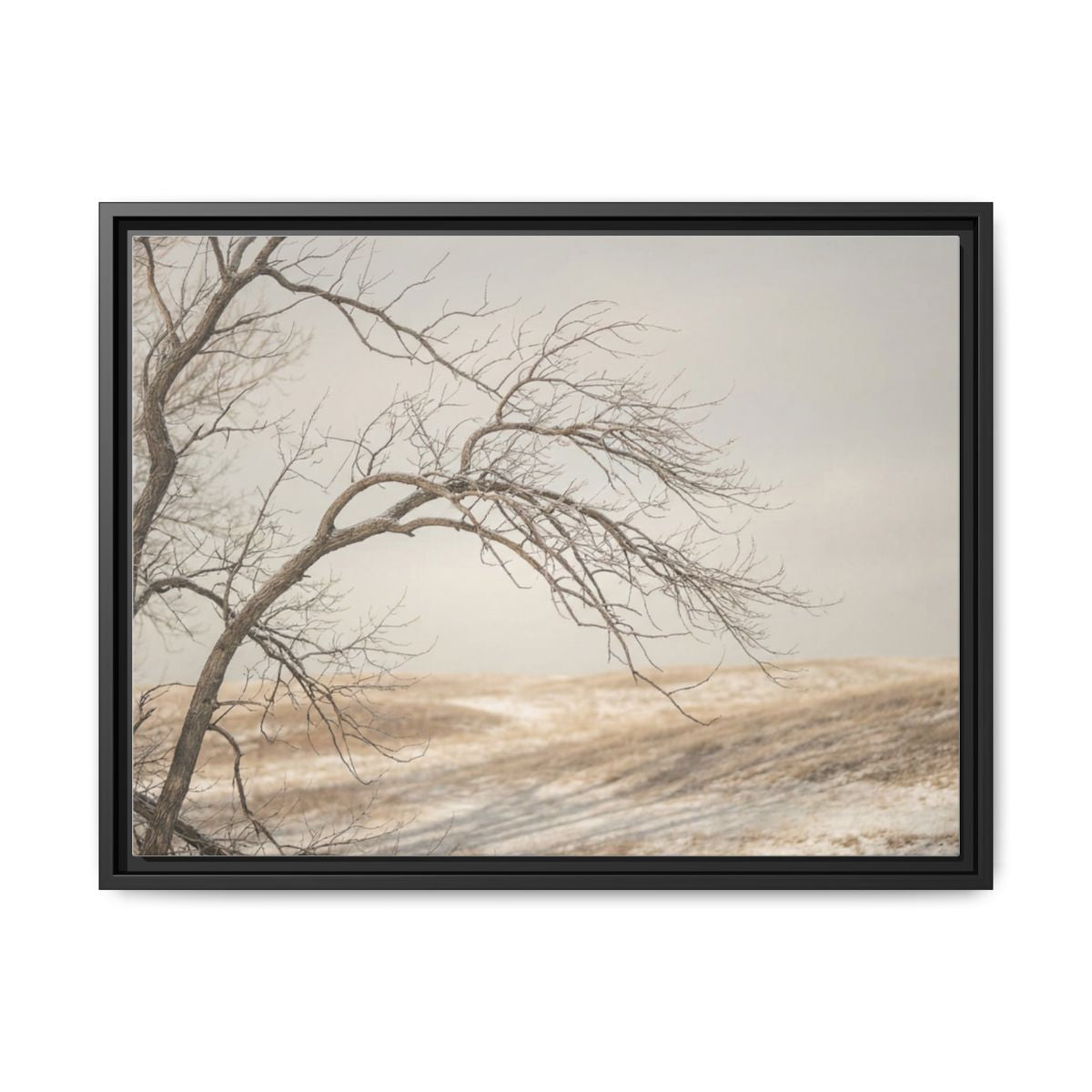 Framed Canvas Art - Minimalist Winter — Black / 1.25"