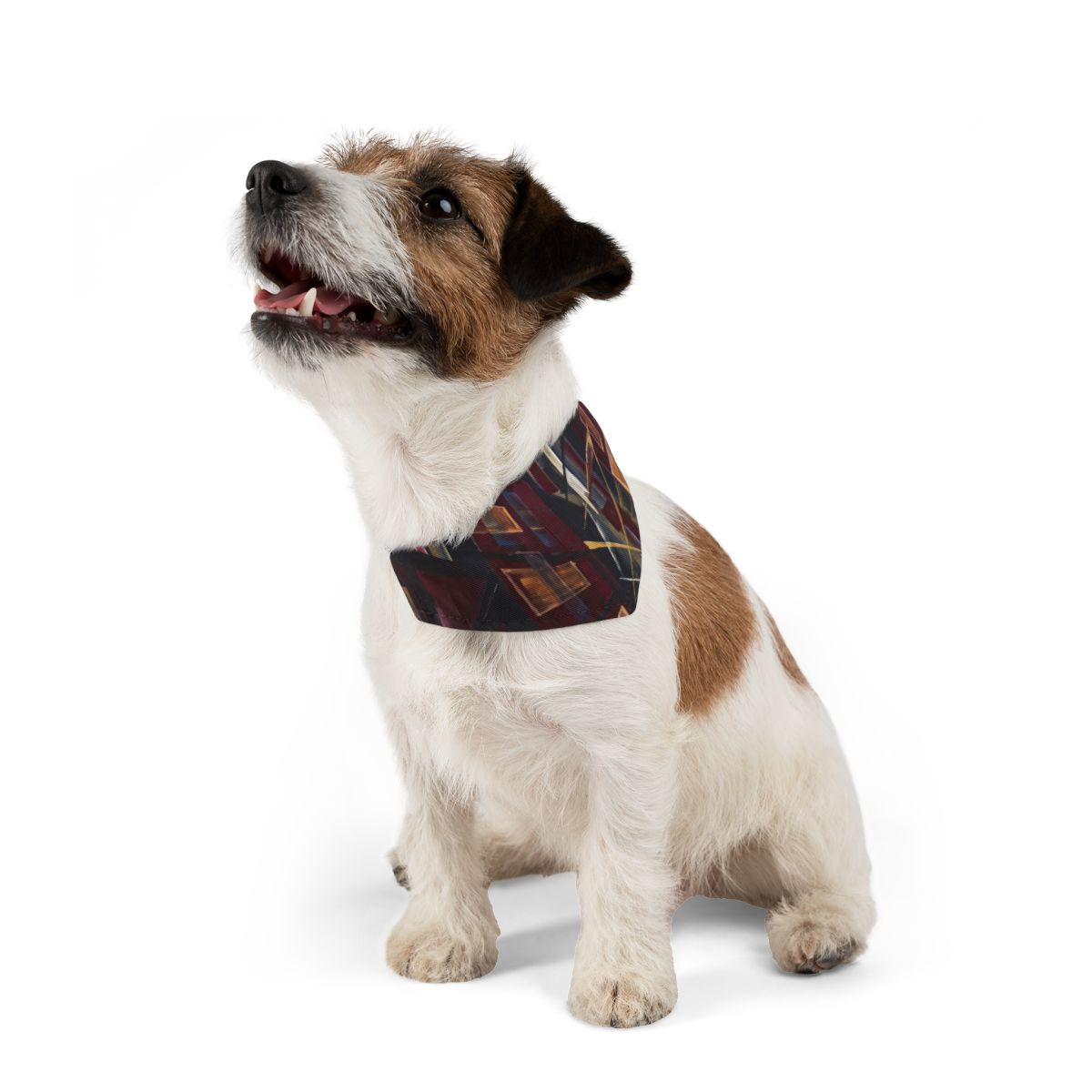 Pet Bandana Collar - Urban Walk | Echovira Gallery
