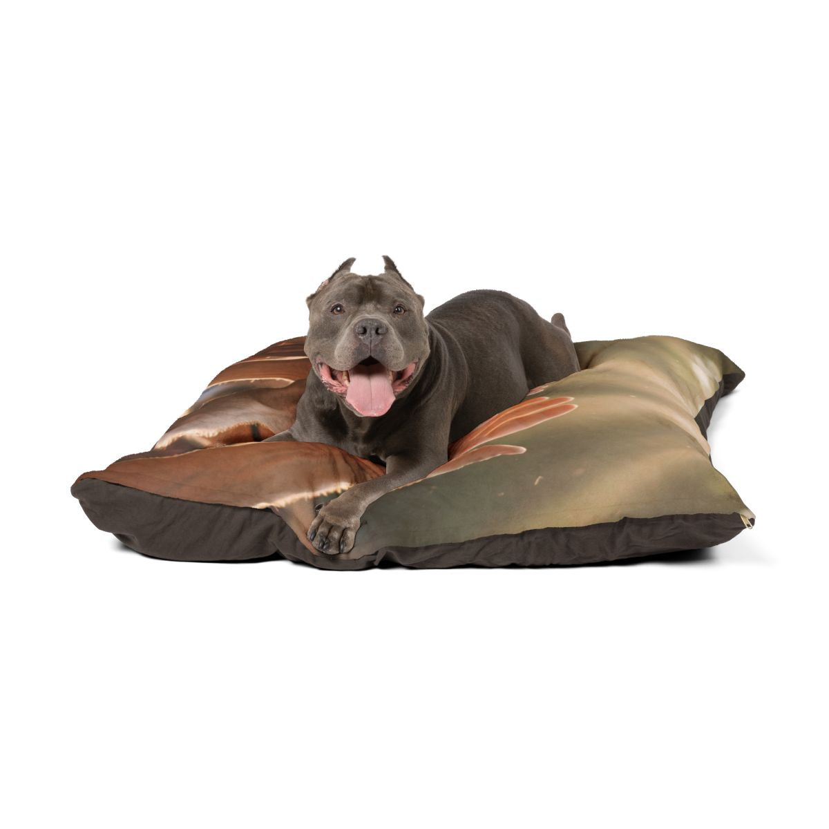 Pet Bed - Golden Rays of Unity Wall Art | Echovira Gallery