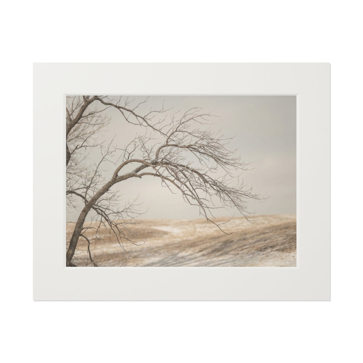 Framed Fine Art Print - Hushed Winter — Landscape