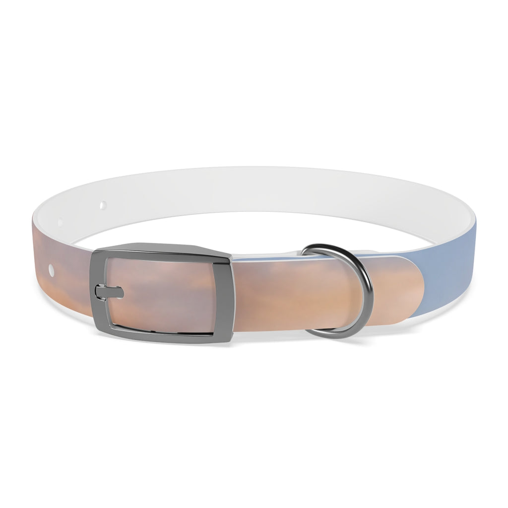 Dog Collar - Trail Companion