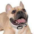 Dog Collar - Hushed Winter Landscape