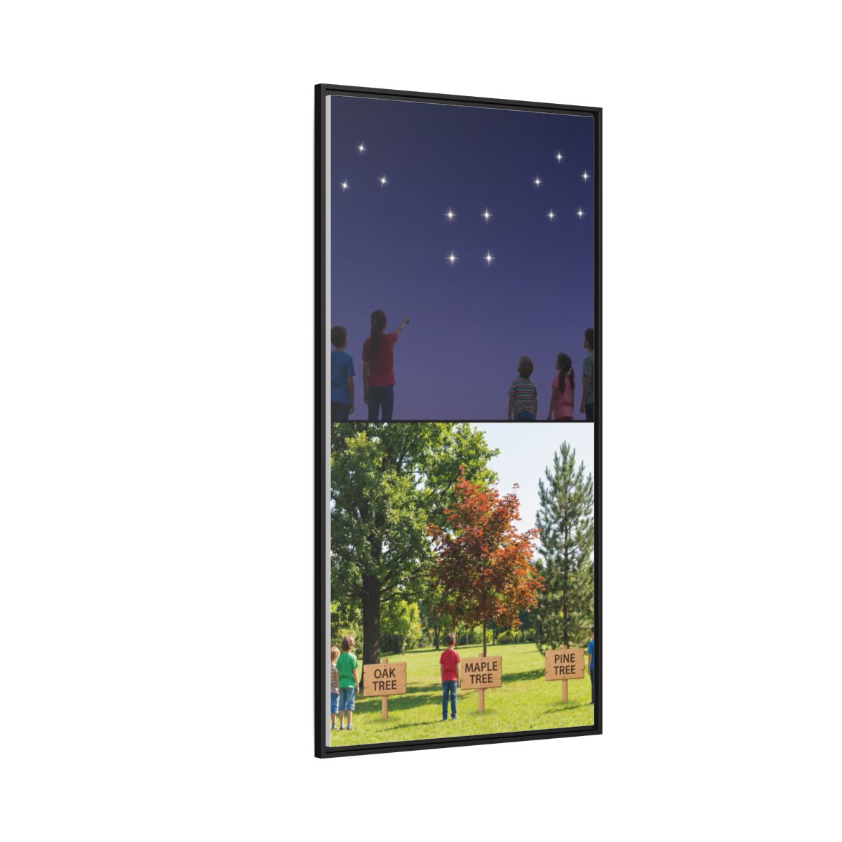 Gerahmte Leinwand (matt) - Discovery — Schwarz / 3,18 cm