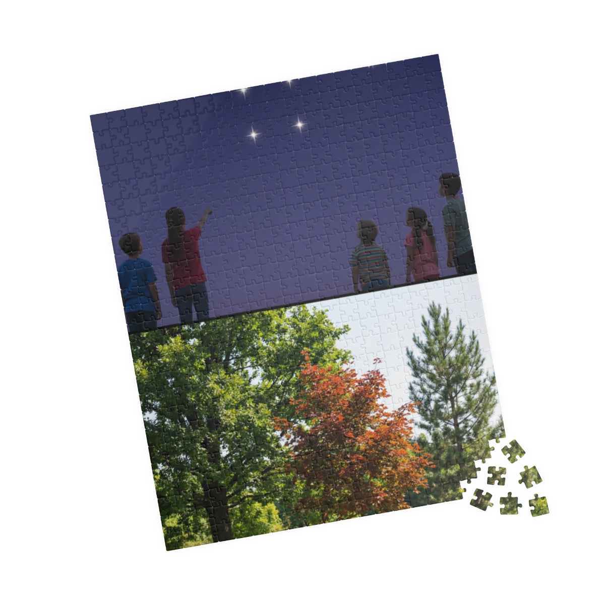 Premium Puzzle - Nature Lesson