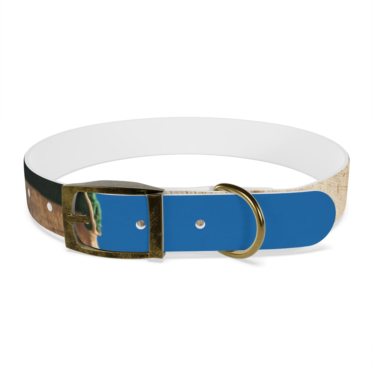 Dog Collar - Heritage Pride