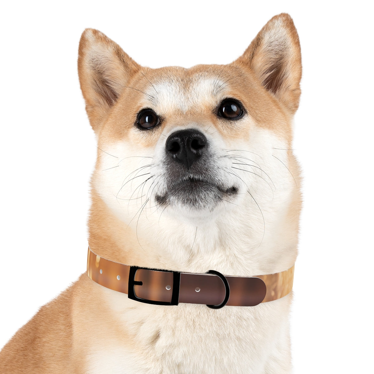 Dog Collar - Shattered Light Aesthetic