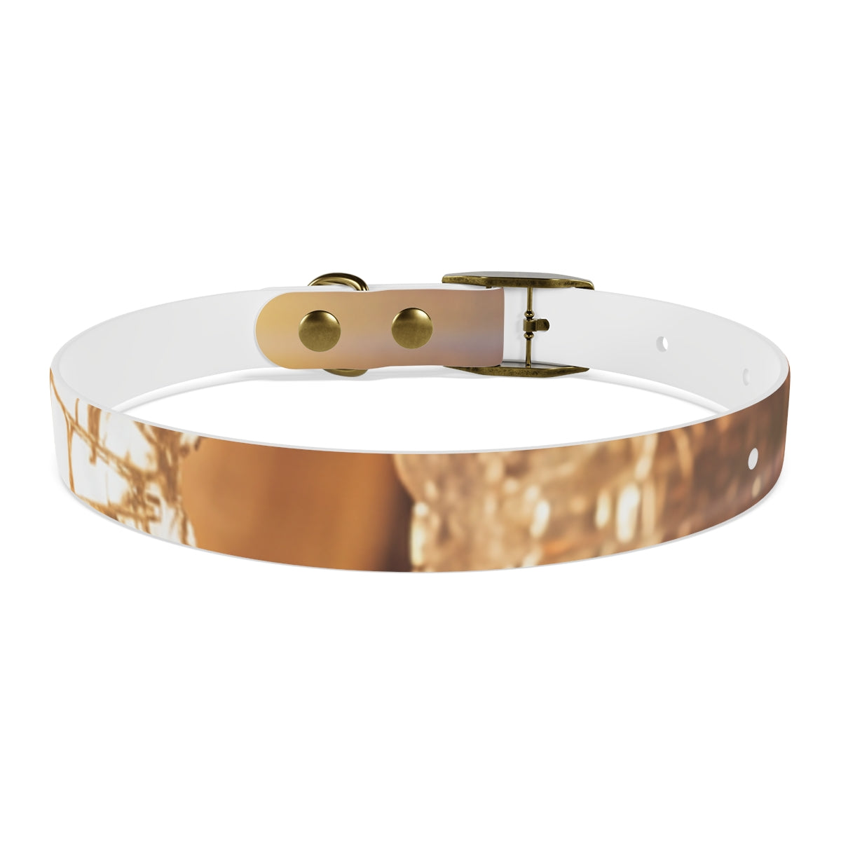 Dog Collar - Shattered Light Aesthetic