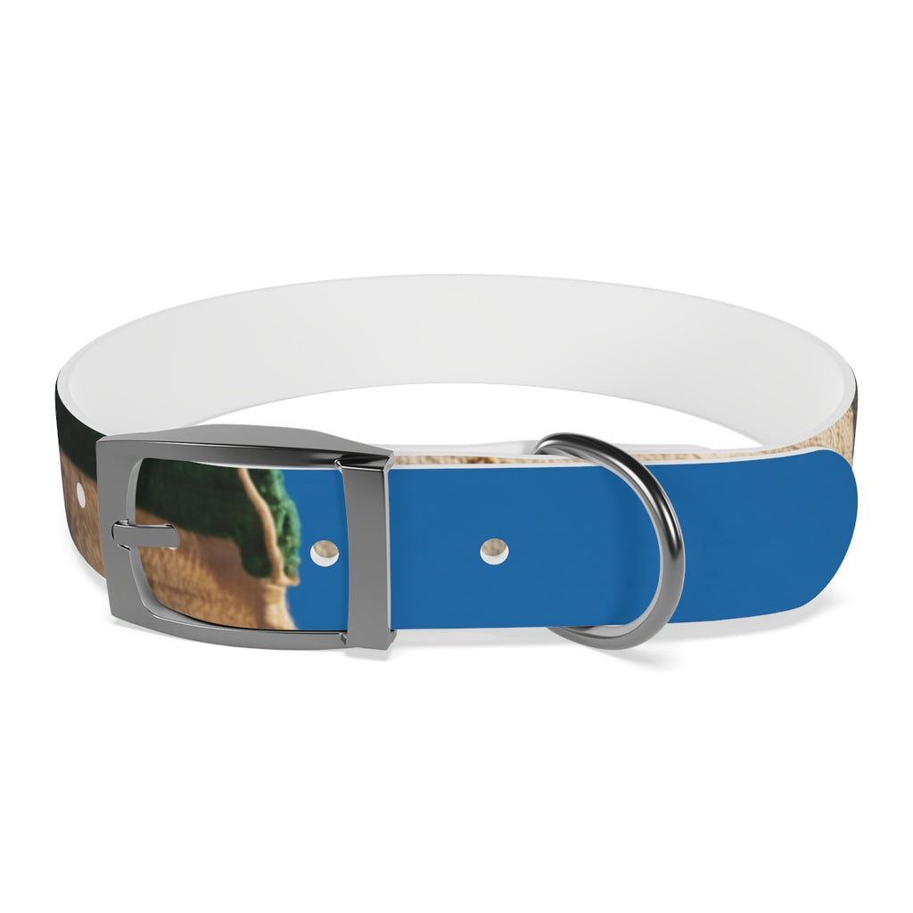 Dog Collar - Heritage Pride