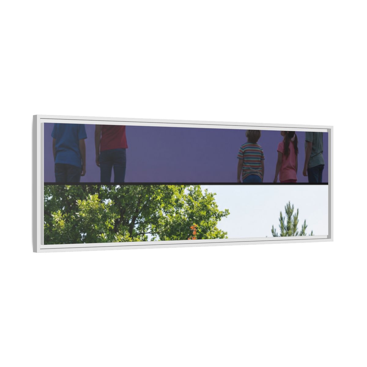 Framed Matte Canvas - Discovery — White / 1.25"