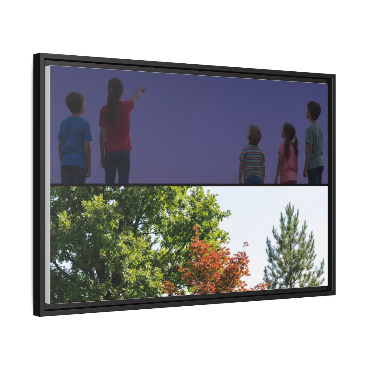 Framed Matte Canvas - Wilderness Gallery