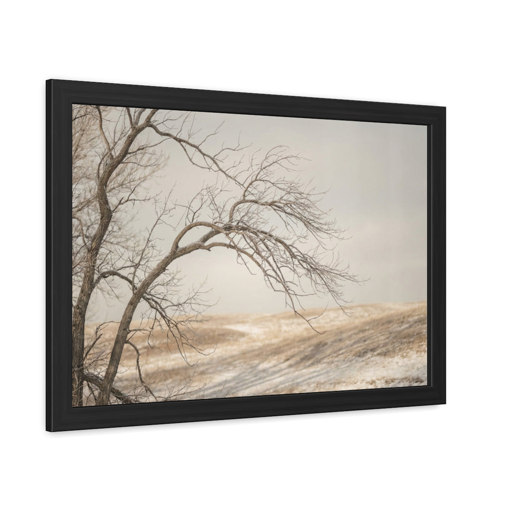 Framed Poster - Minimalist Winter Tree — Landscape