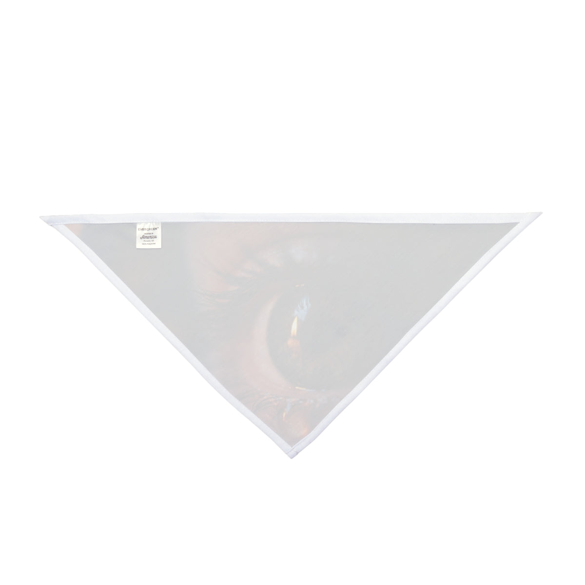 Pet Bandana - Cinematic Eye Aesthetic