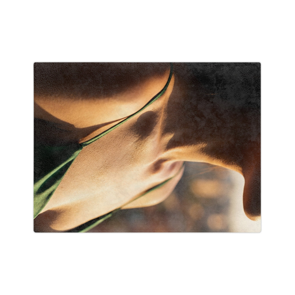 Velveteen Microfiber Blanket - Golden Comfort