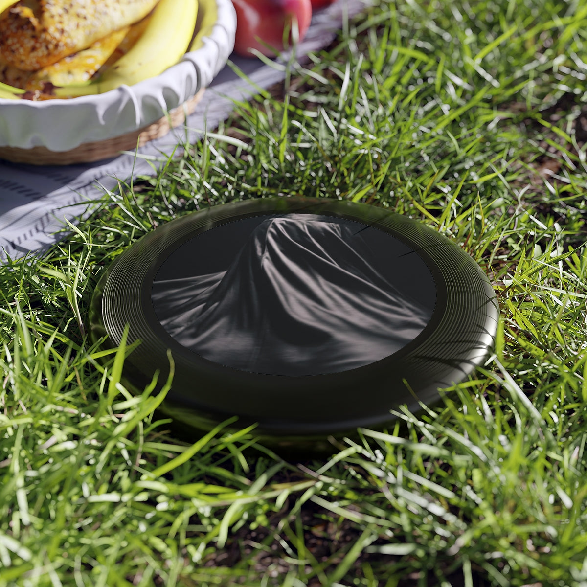 Wham-O Frisbee - Nocturne Spin | Echovira Gallery