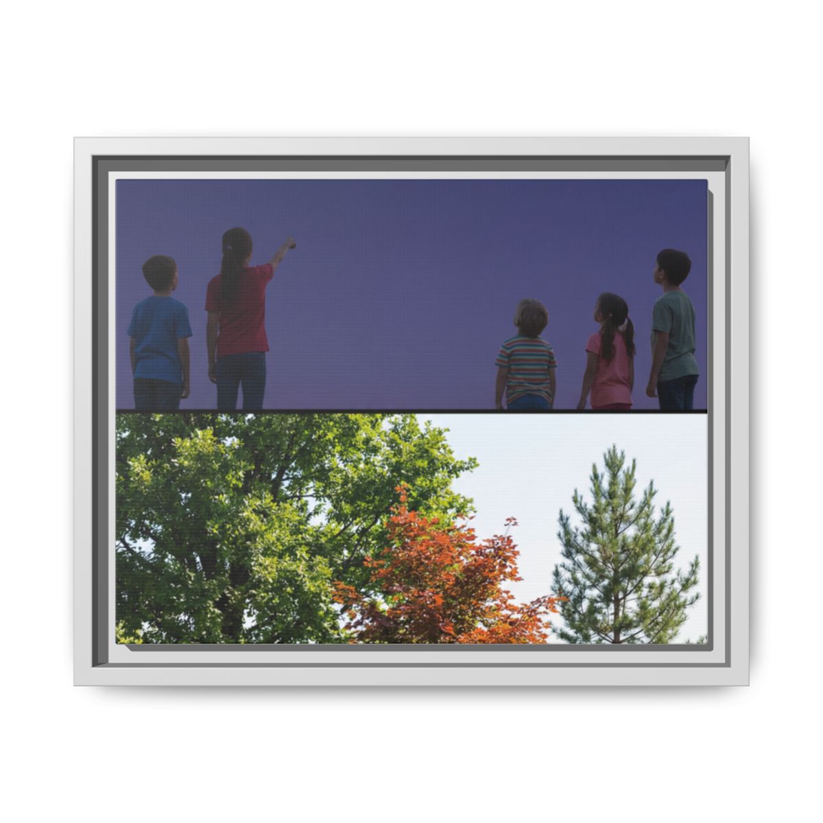 Framed Matte Canvas - Discovery — White / 1.25"