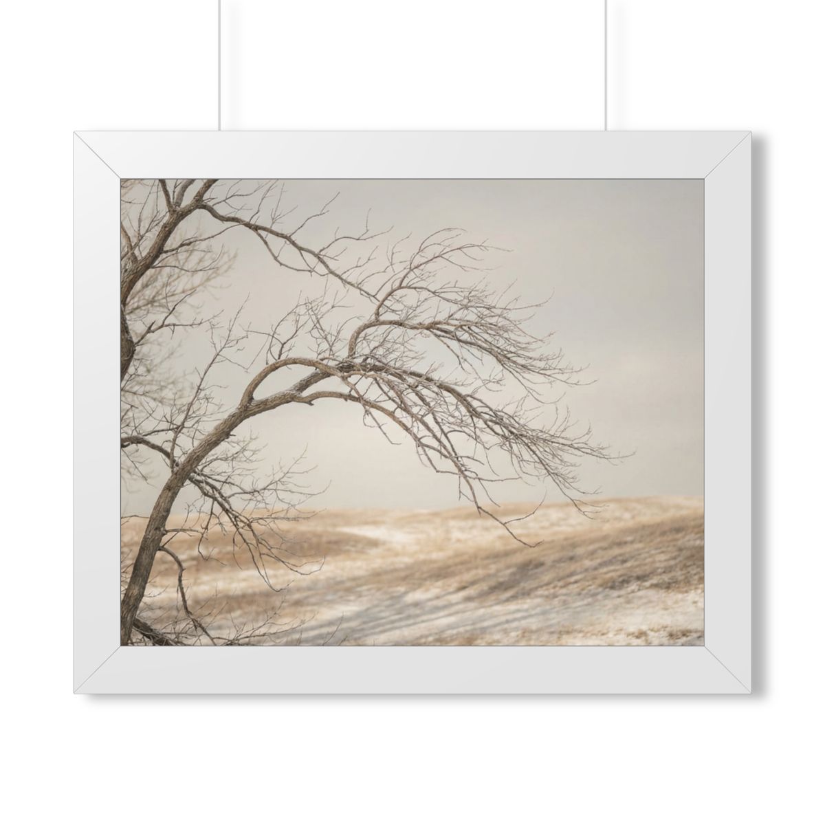 Framed Horizontal Poster - Winter Branch Solitude Landscape...