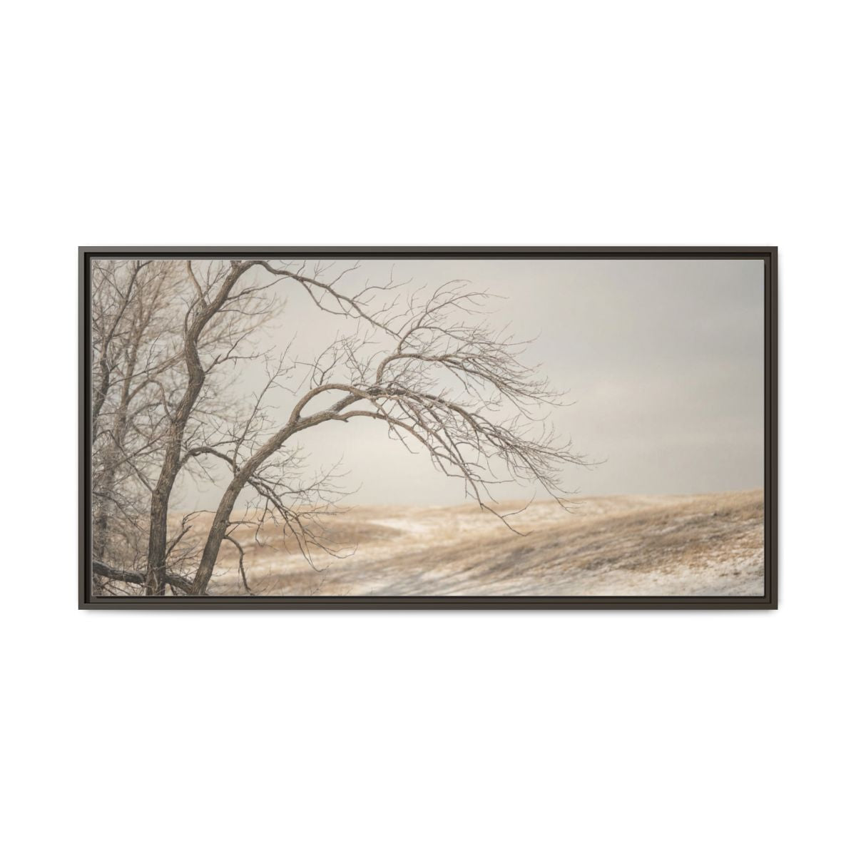 Framed Canvas Art - Minimalist Winter — Espresso / 1.25"