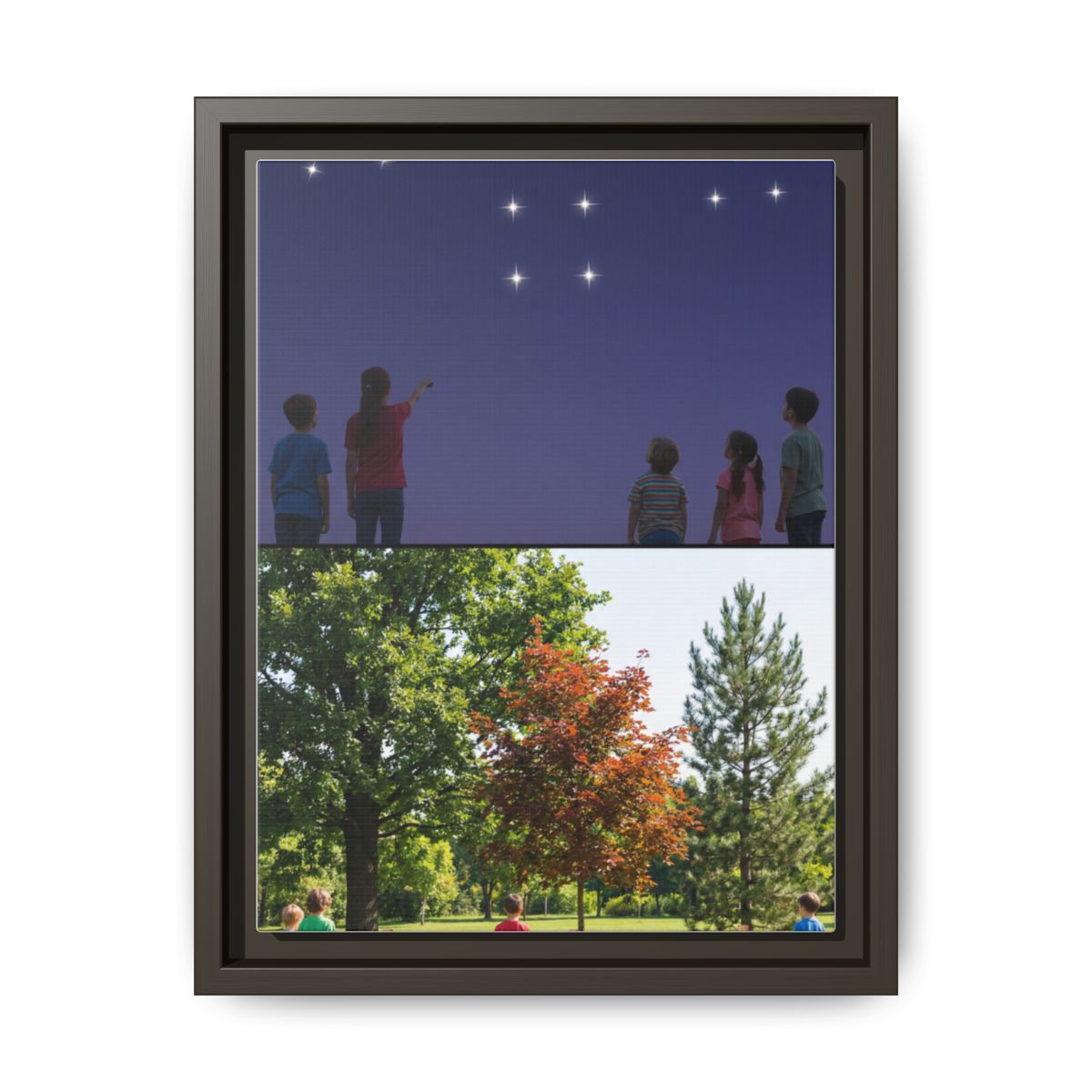 Framed Matte Canvas - Discovery — Espresso / 1.25"