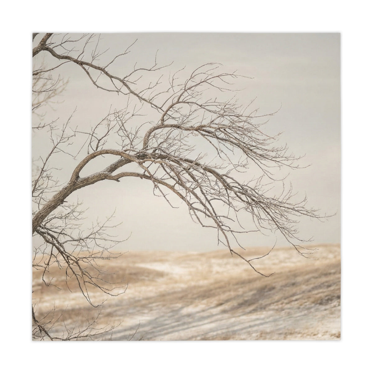 Tablecloth - Hushed Winter Elegance