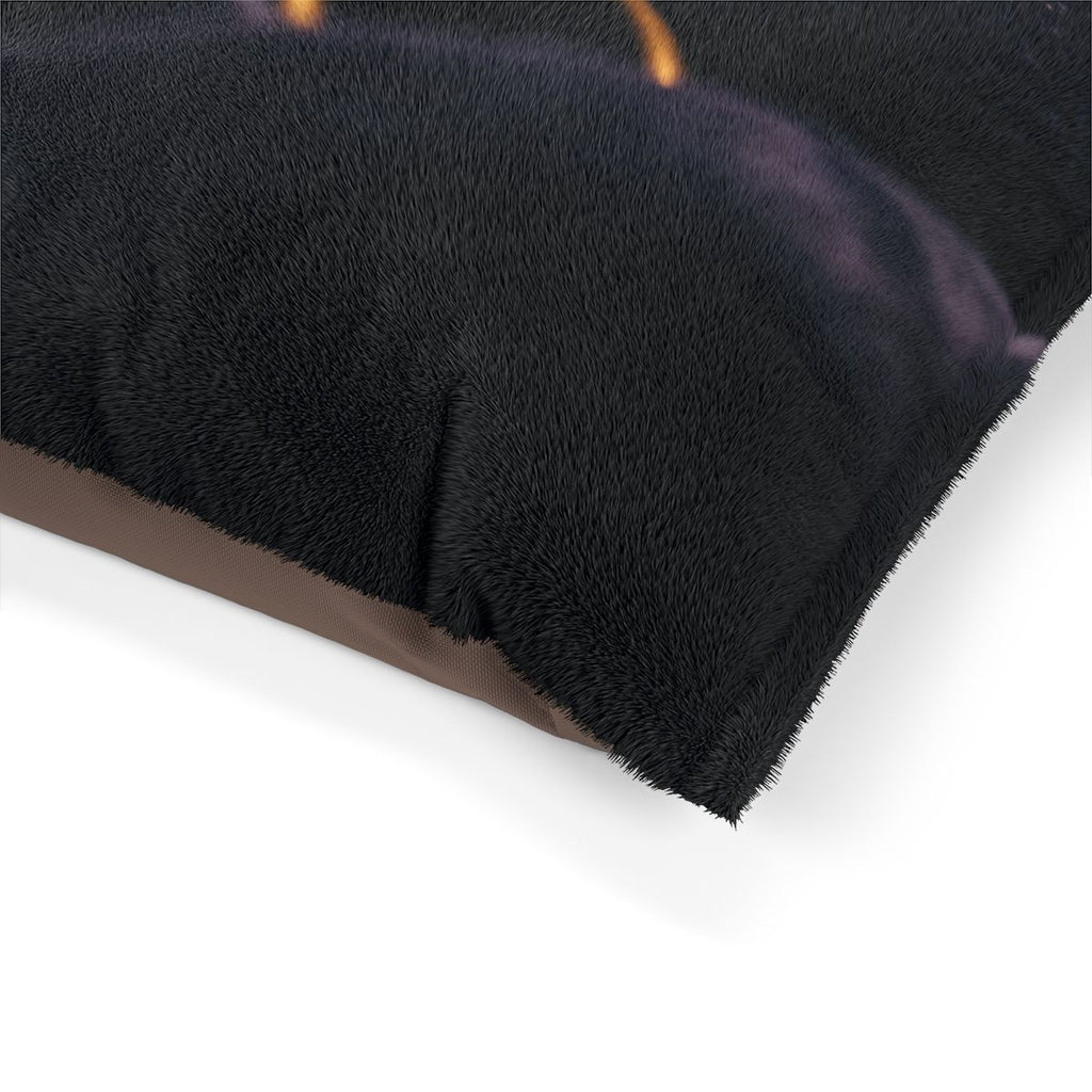 Sundial Compass Pet Bed