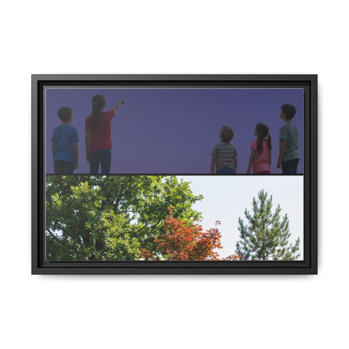 Framed Matte Canvas - Wilderness Gallery — Black / 1.25"