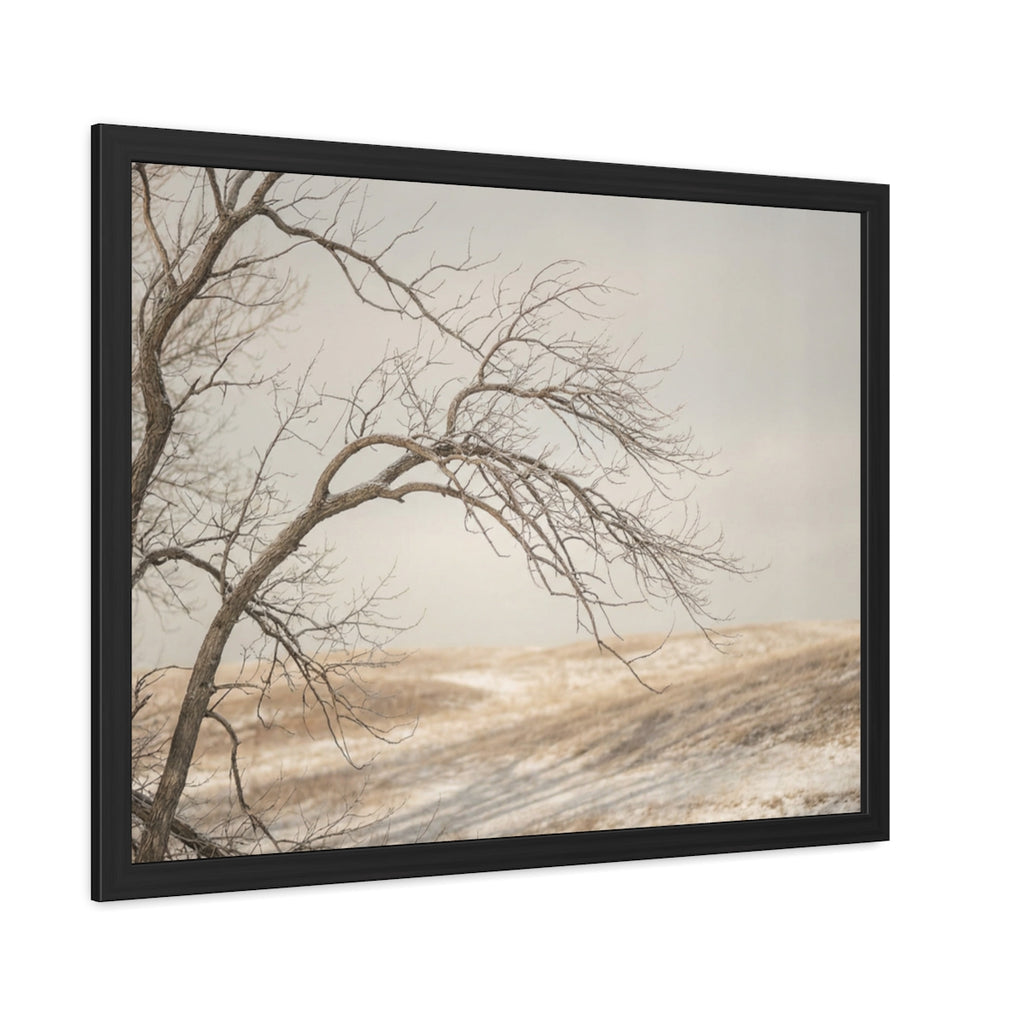 Framed Poster - Minimalist Winter Tree — Landscape