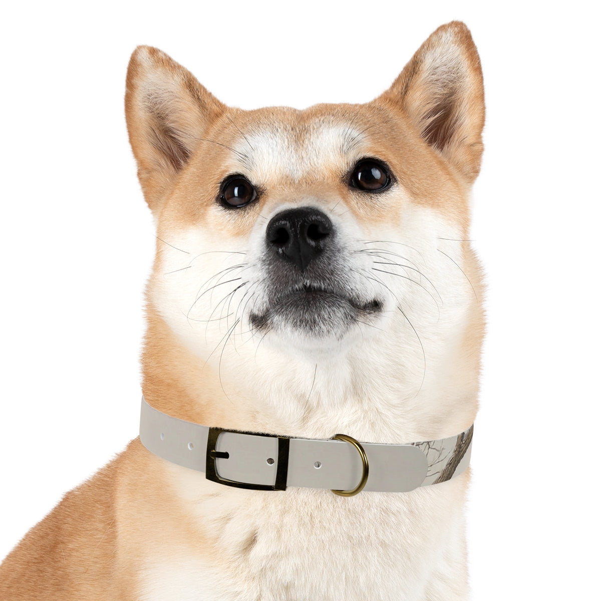Dog Collar - Hushed Winter Landscape