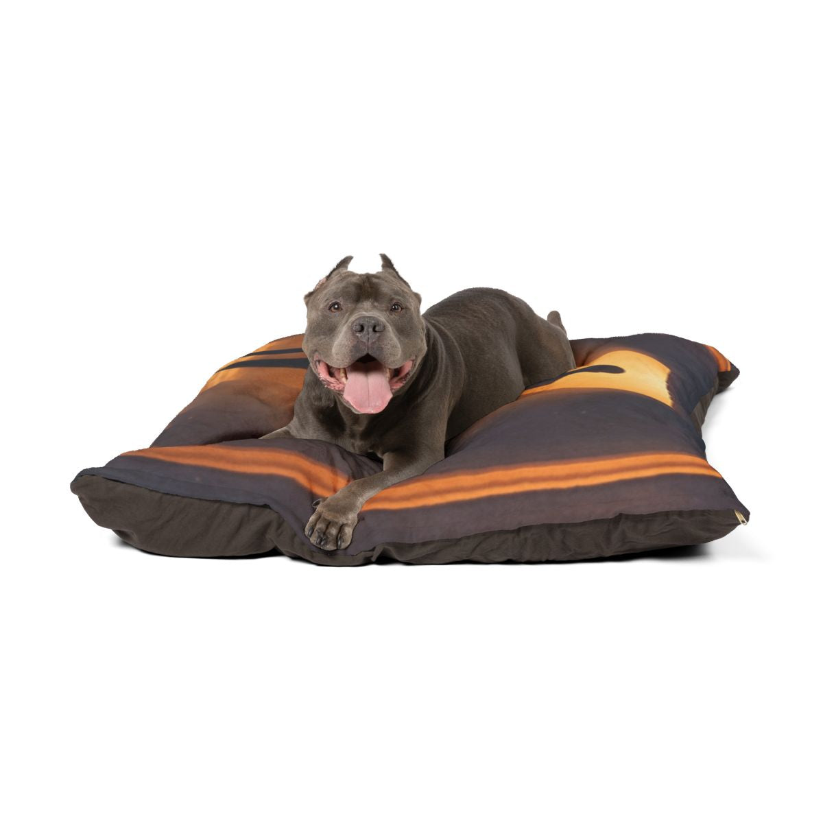 Pet Bed - The Threshold Sanctuary | Echovira Gallery